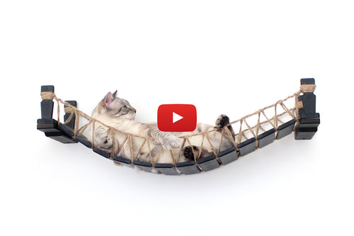 Cat on bridge Youtube thumbnail