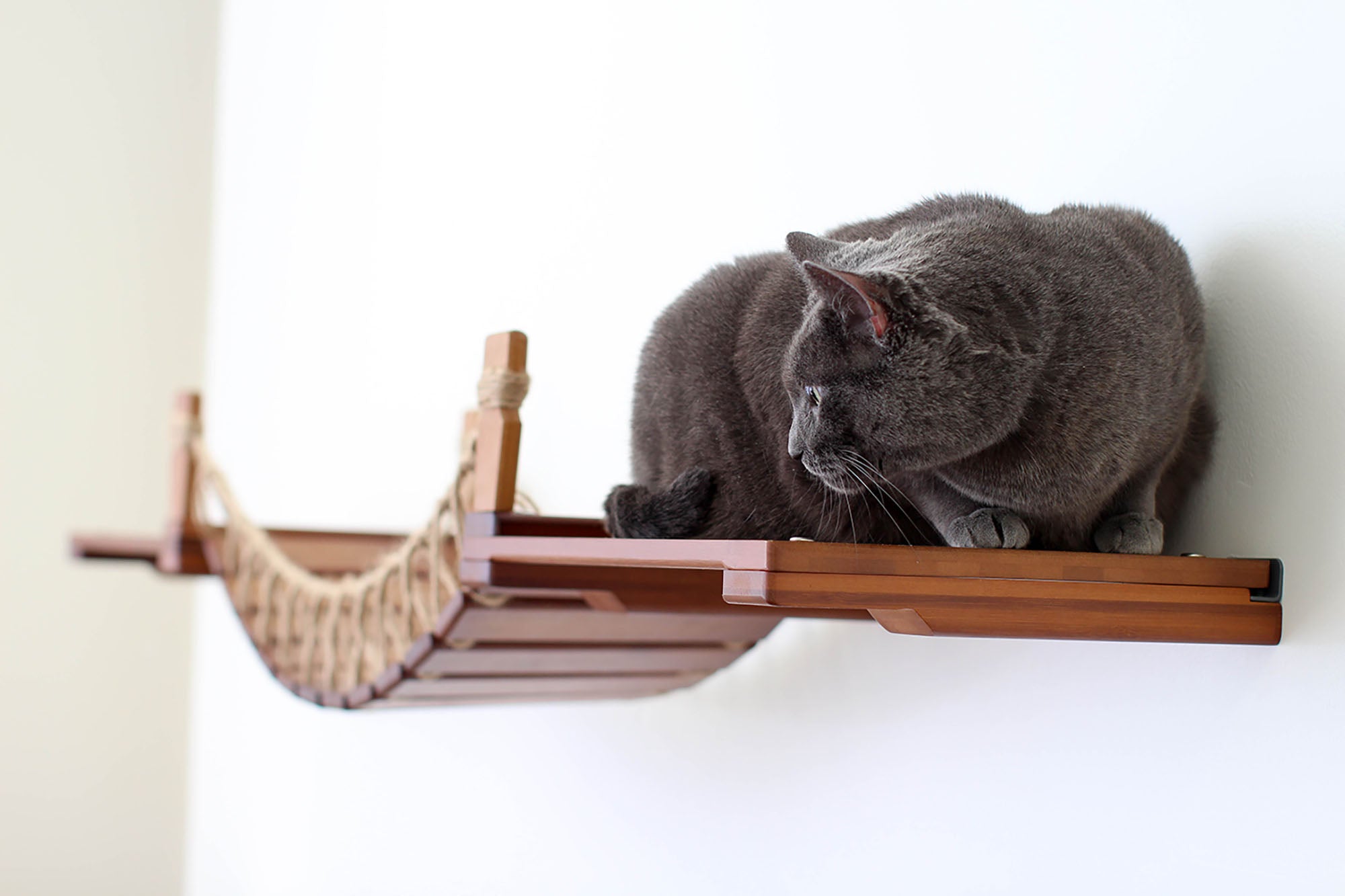 Gray cat laying on an English Chestnut stained cat shelf attached to a cat bridge
