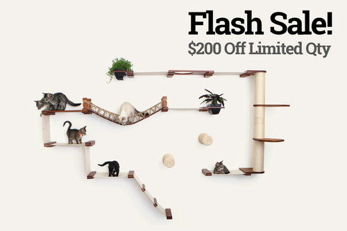 photo stamped with Flash Sale for the Juggernaut Cat Condo 