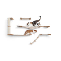 Cat climbing wall with two cats on a white background