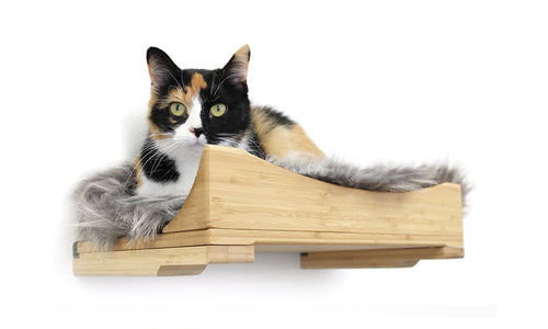 Cat Shelves Cat Furniture