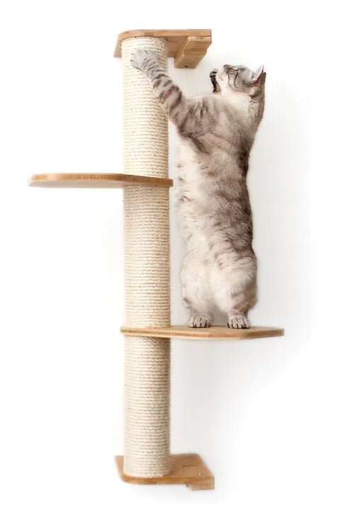 Cat Scratching Posts Sisal Cat Furniture