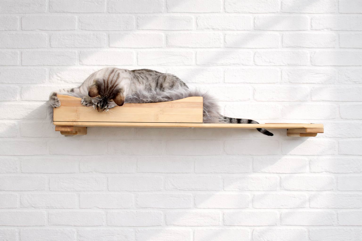 Cat resting on a wooden shelf against a white brick wall