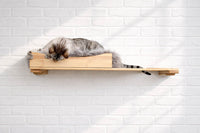 Cat resting on a wooden shelf against a white brick wall