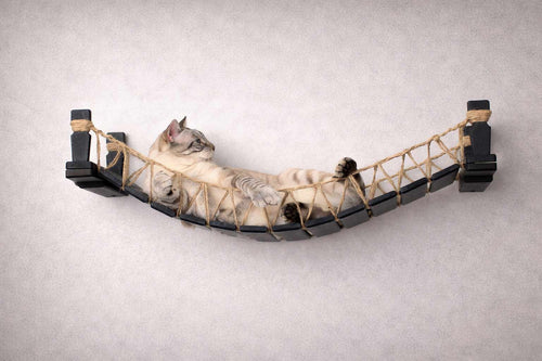 cat lounging on a cat bridge