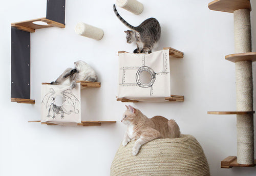 cats and wall furniture