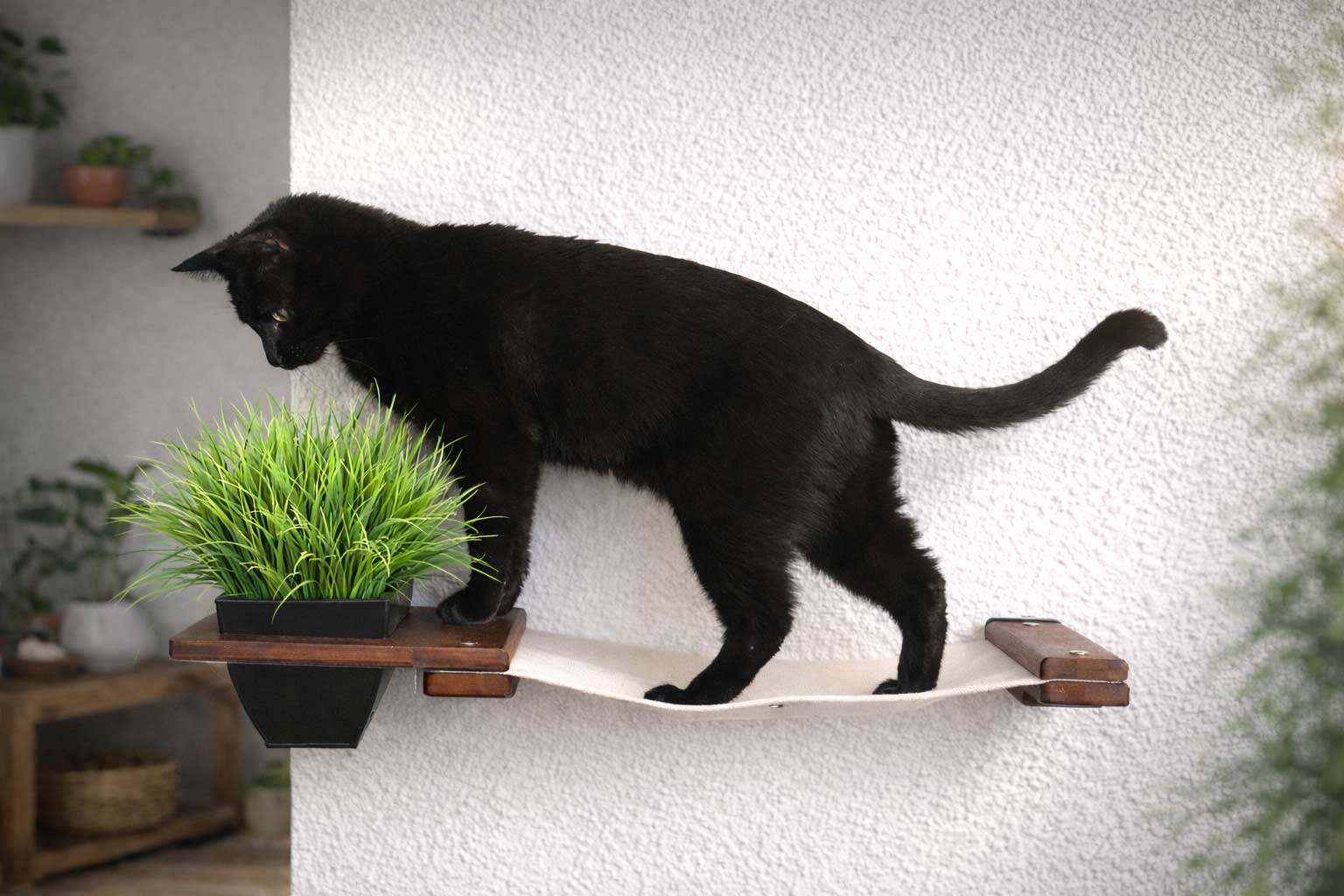 Black cat walking on a wooden shelf with a plant in a home setting