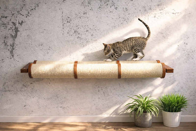Cat using a wall-mounted cat scratcher with plants on a wooden floor and light gray wall background