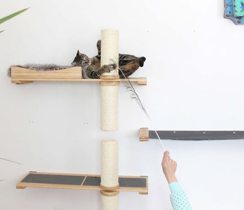 cat playing on cat scratcher