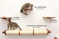 Cat climbing shelf and perches with cats on a white background