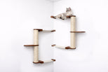 Cat climbing on a wall-mounted cat tree with multiple levels and sisal-wrapped posts.