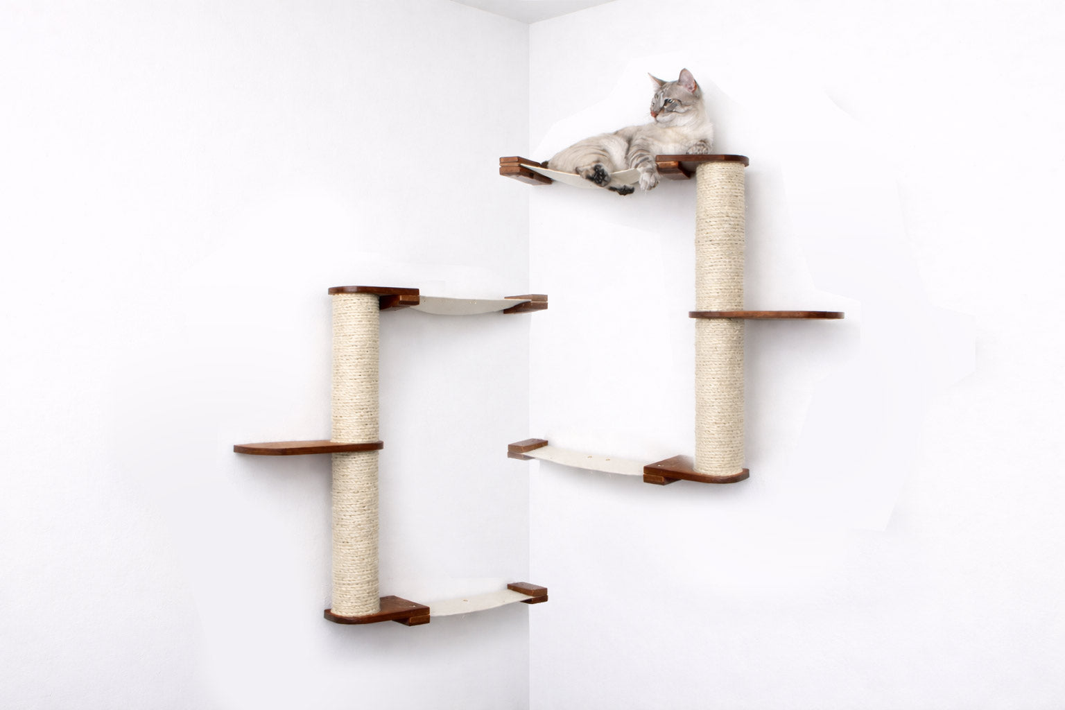 Cat climbing on a wall-mounted cat tree with multiple levels and sisal-wrapped posts.