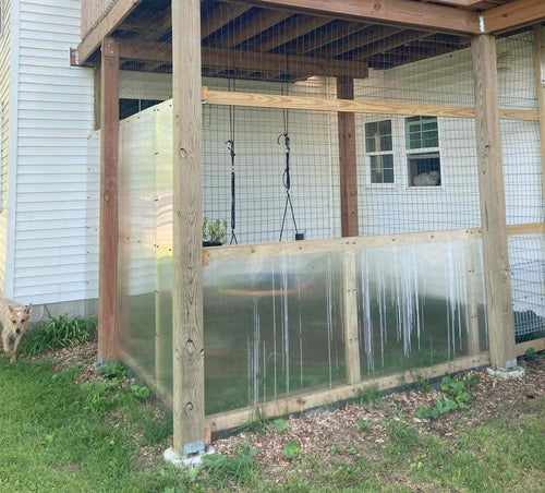 Catio (cat patio) with wooden frame and wire mesh, featuring a cat inside.