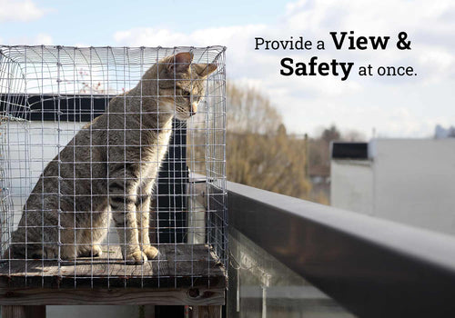 Cat in a cage on a rooftop with text 'Provide a View & Safety at once.'