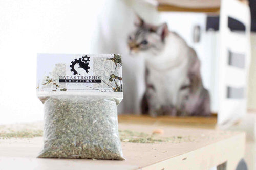 Organic catnip leaf