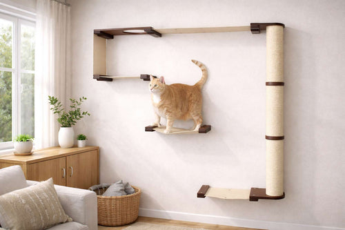 cat standing on a cat wall condo in living room setting