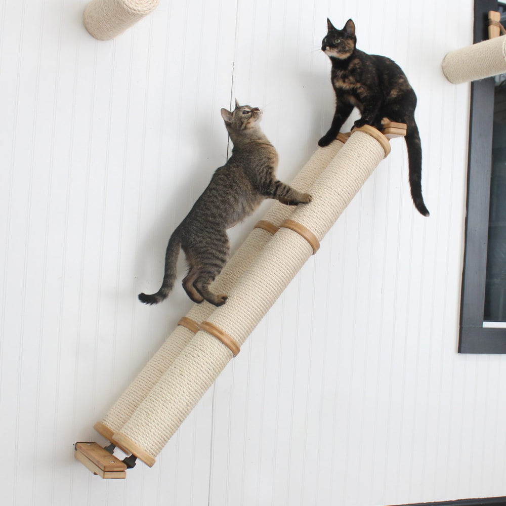 Cats on a double Angled Pole