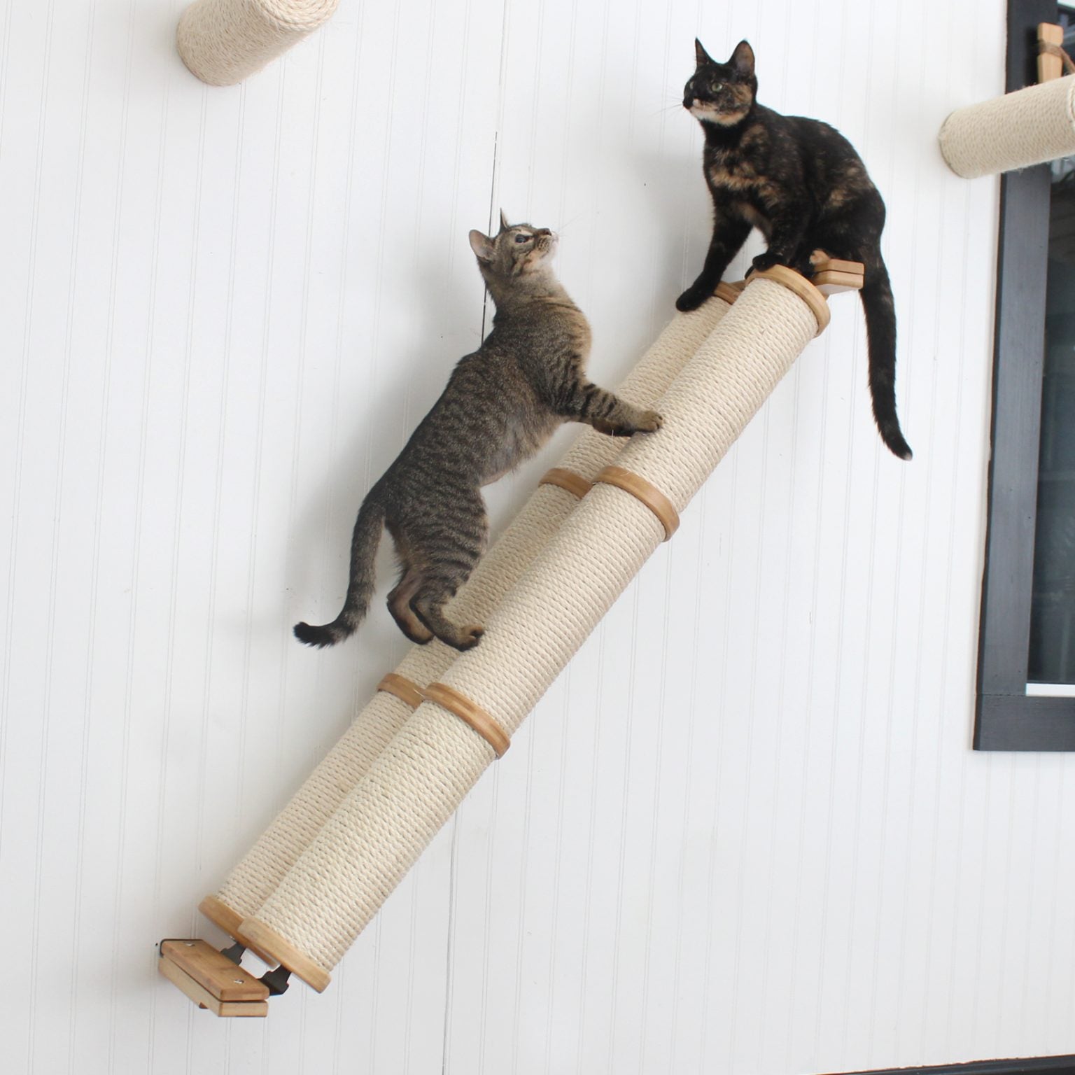 Slanted Cat Scratcher Post Cat Climber | Catastrophic Creations