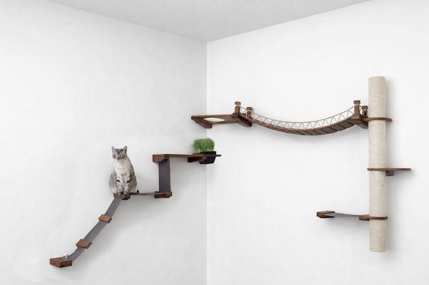 Cat climbing wall with shelves and a bridge on a white wall