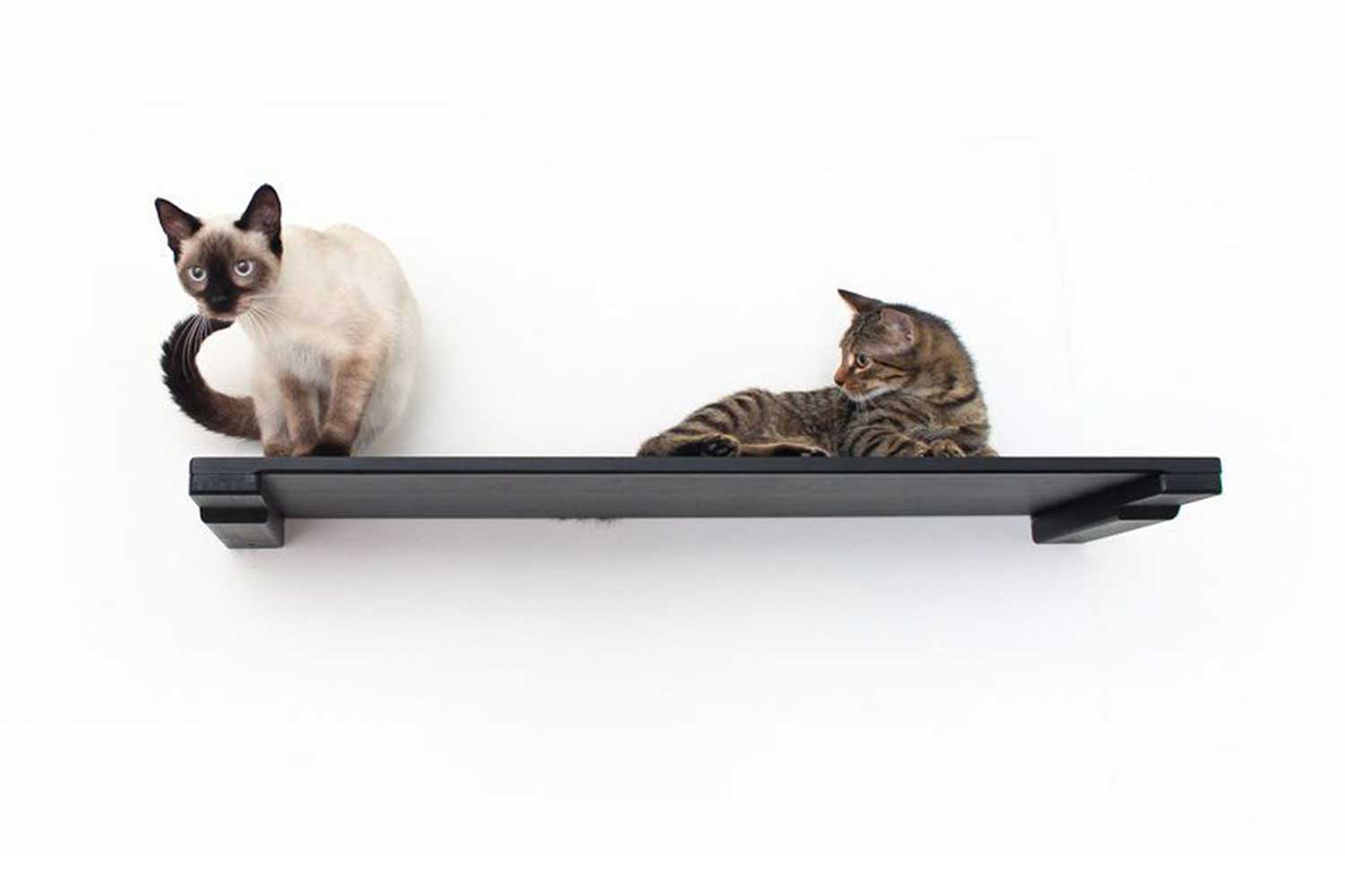 Two cats laying on a 34" wall cat shelf with onyx bamboo.