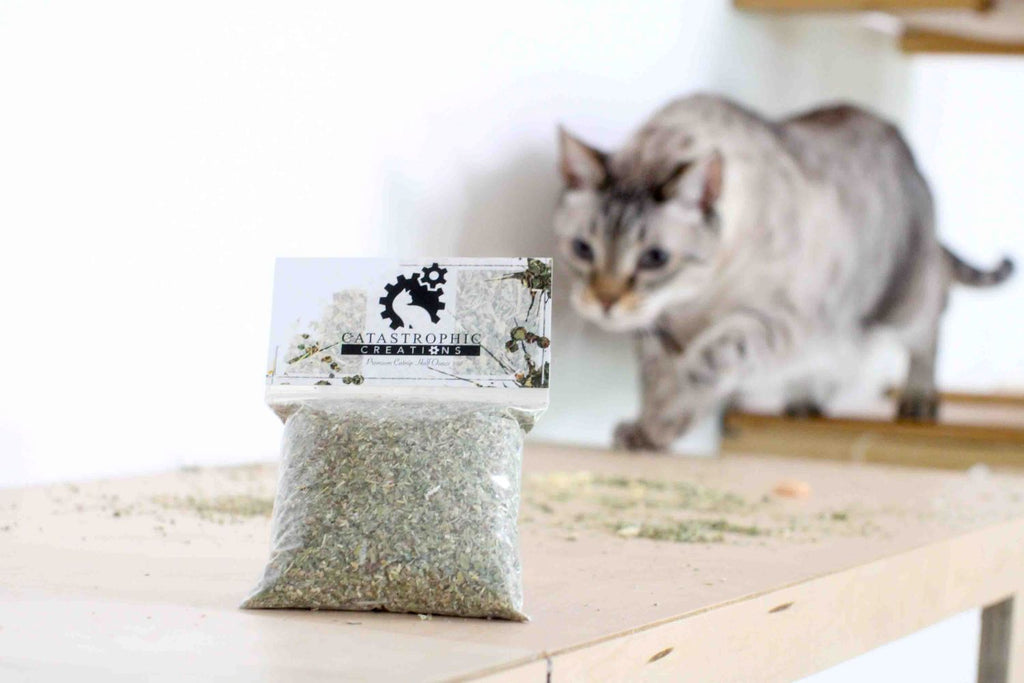 Premium Organic Catnip