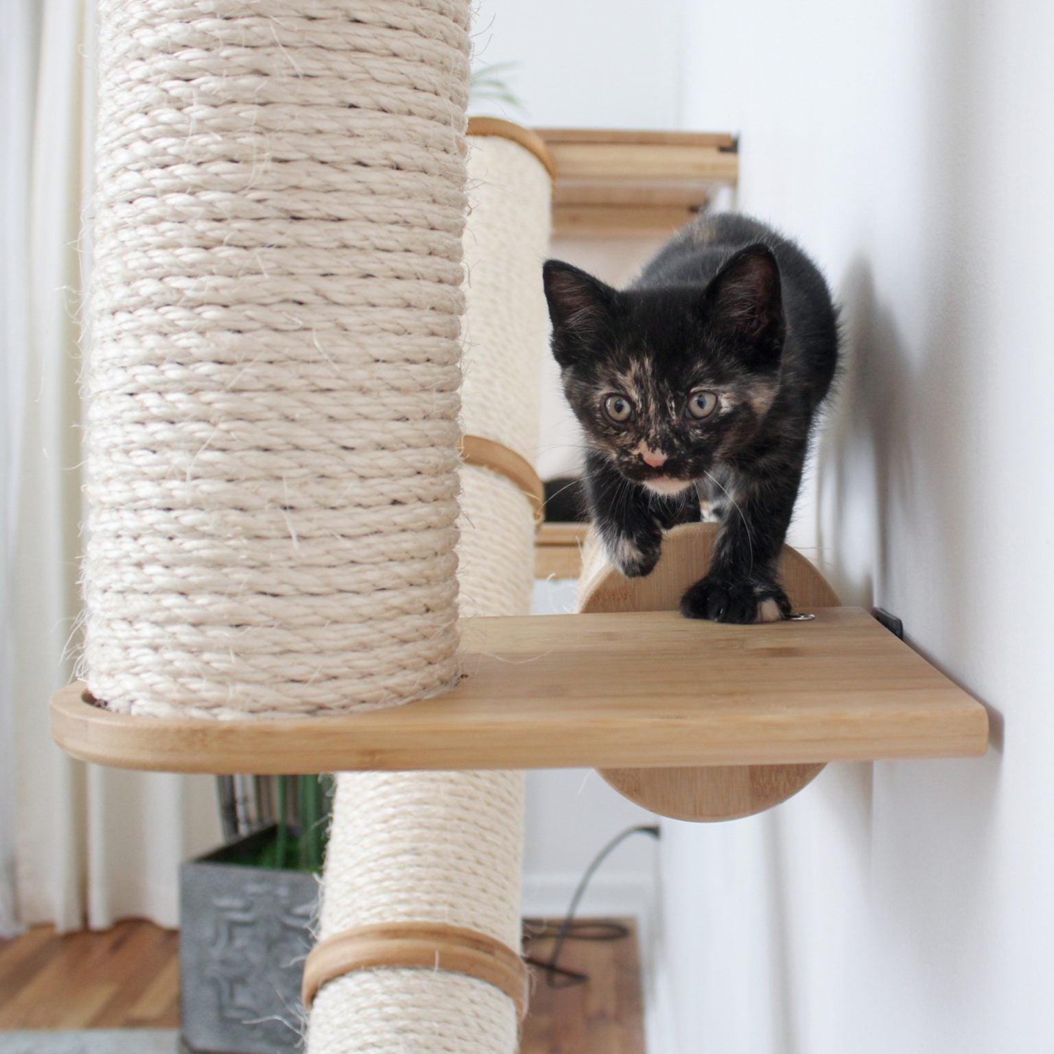 The Crossroads Cat Tree with Ramp Catastrophic Creations