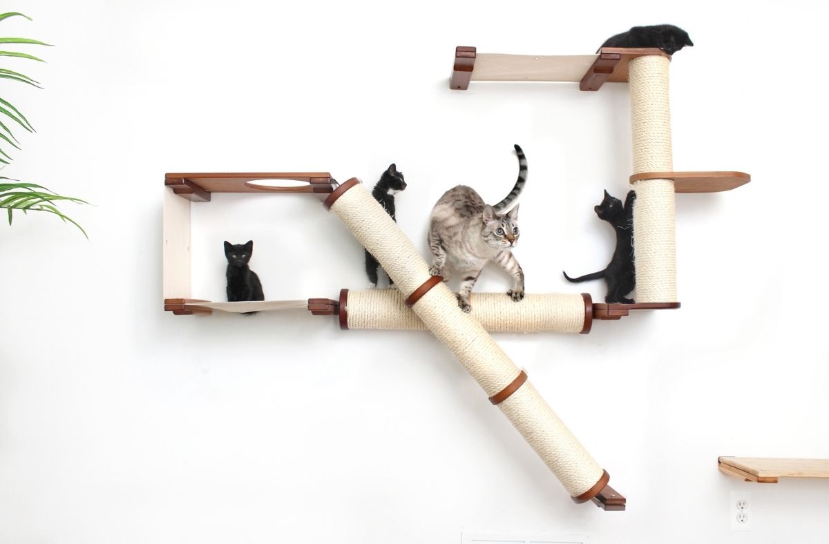 Cat scratching post black friday 2025