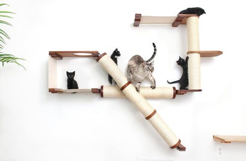Crossroads cat condo with adult cat and kittens playing on structure