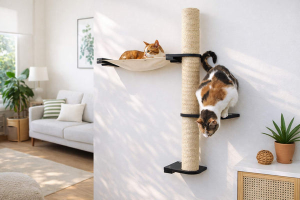 Two cats on a cat tree and hammock in a modern living room.