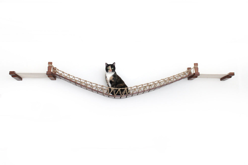 Cat on Bridge Lounge