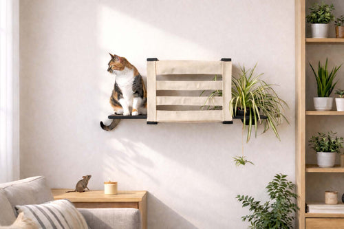 Cat on a wall-mounted pet shelf in a home setting with plants and furniture.