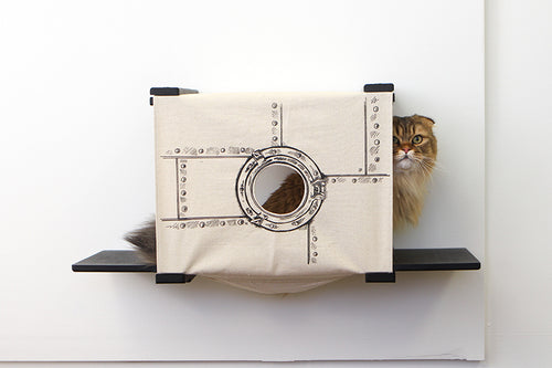 cat cubby with fluffy cat inside