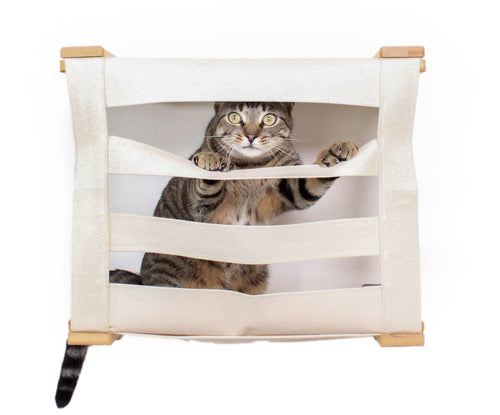 cat looking through cubby fabric