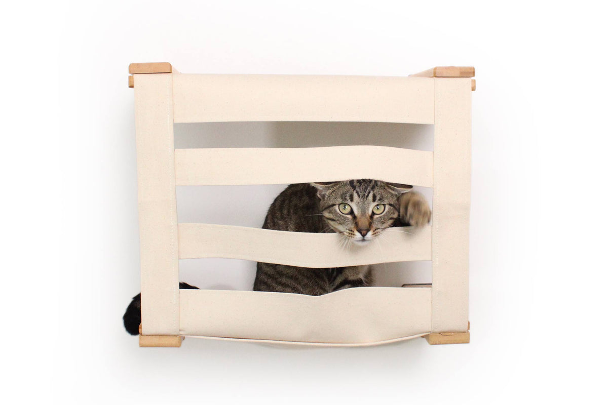Illustration of Wall Mounted Cat Catwalks With Cubbies