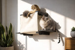 cats sitting on a cat cubby