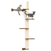 Cats on Crows Nest