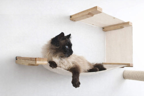 Cat lounging on a hammock attached to a wall