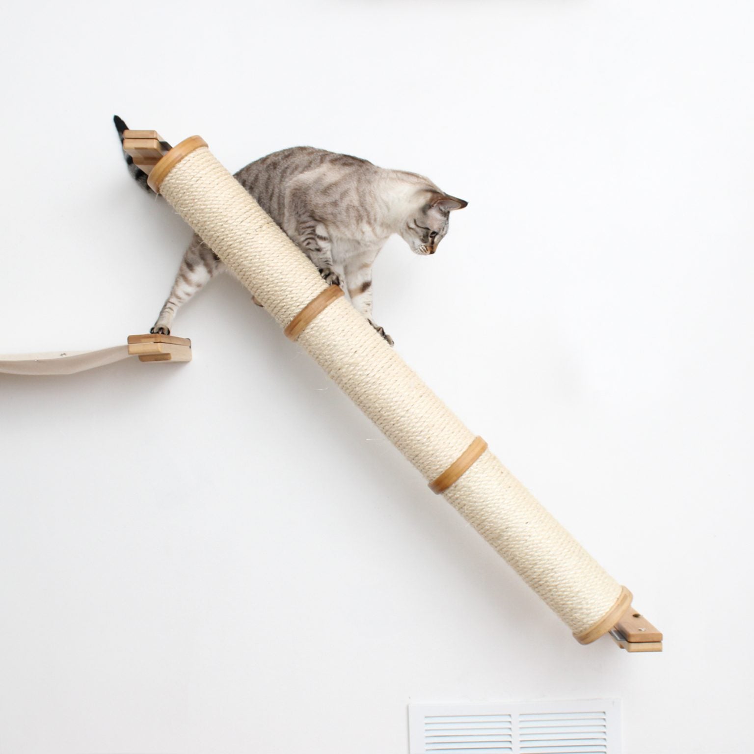 Cat using an Angled Pole