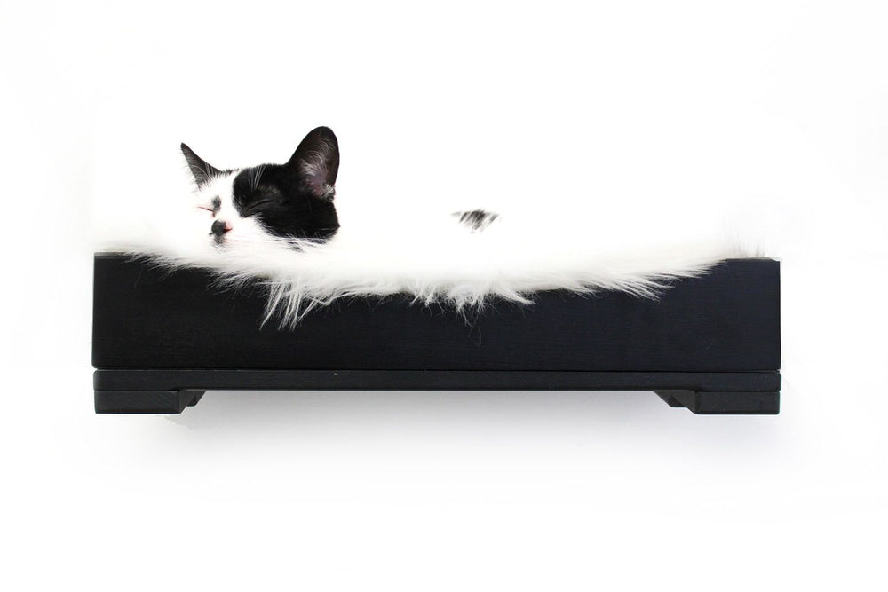 Black and white cat napping comfortably on an 18" onyx bamboo Nest Cat bed with cream plush pad