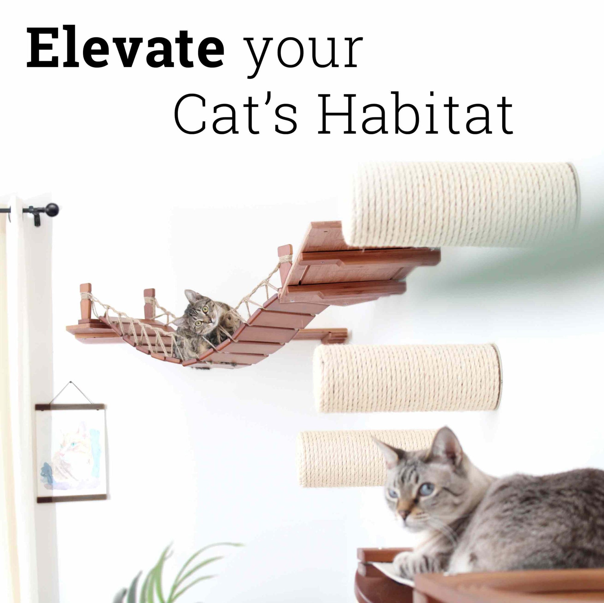image states "elevate your cat's habitat" while showing two cats lounging on cat furniture installed on the wall