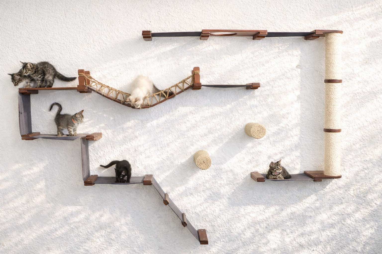 Cat play area with shelves, a hammock, and scratching posts on a white background