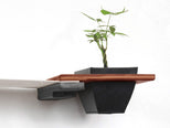 planter shelf for cats in brown stain