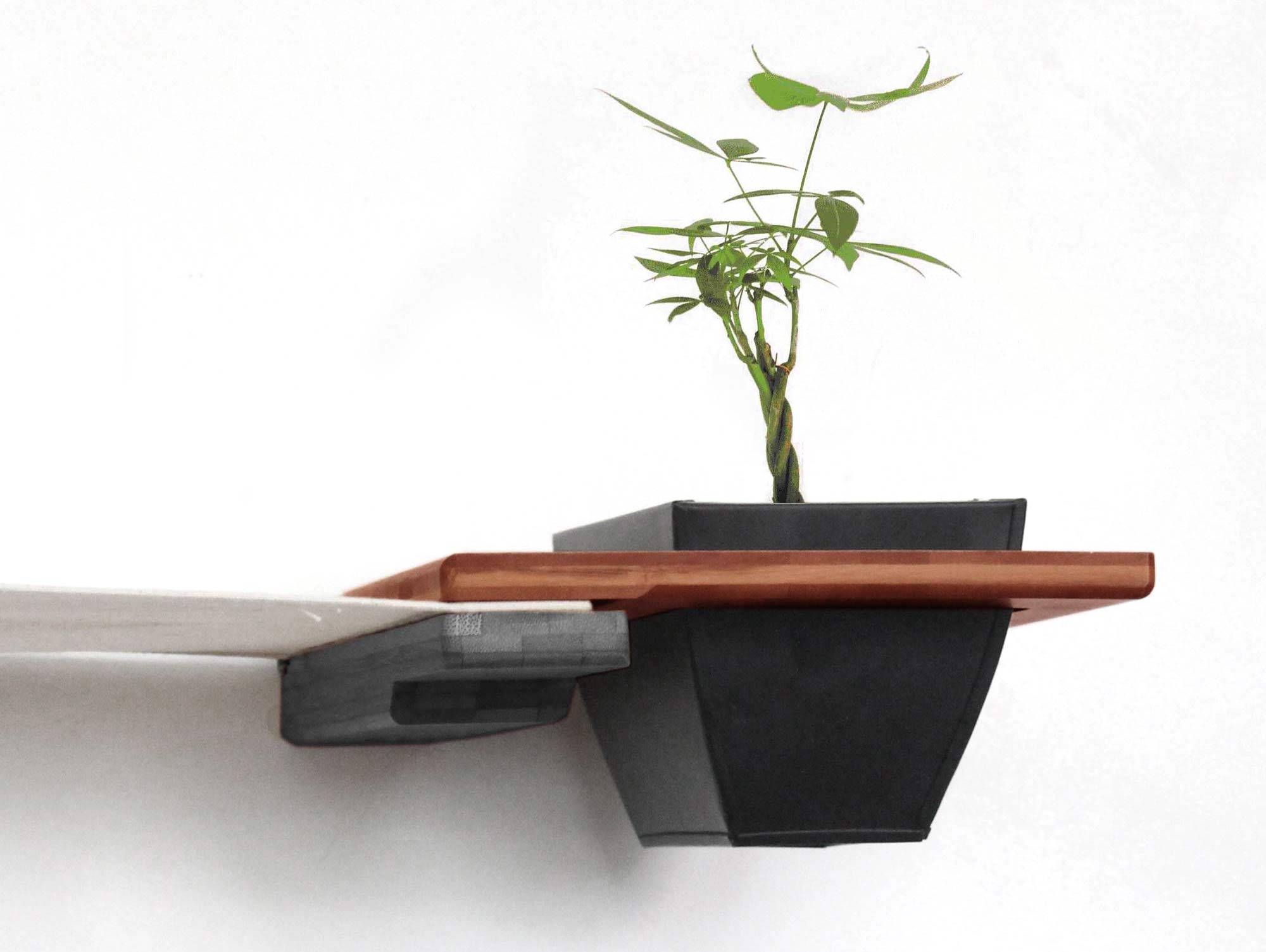 planter shelf for cats in brown stain