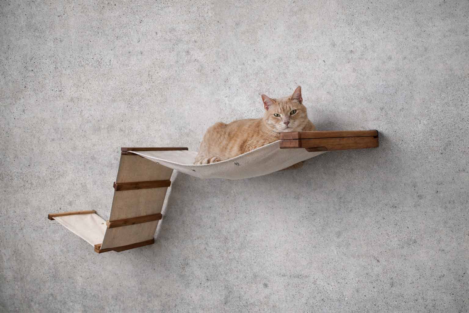 Cat lounging on a wooden and fabric cat hammock against a gray concrete wall.