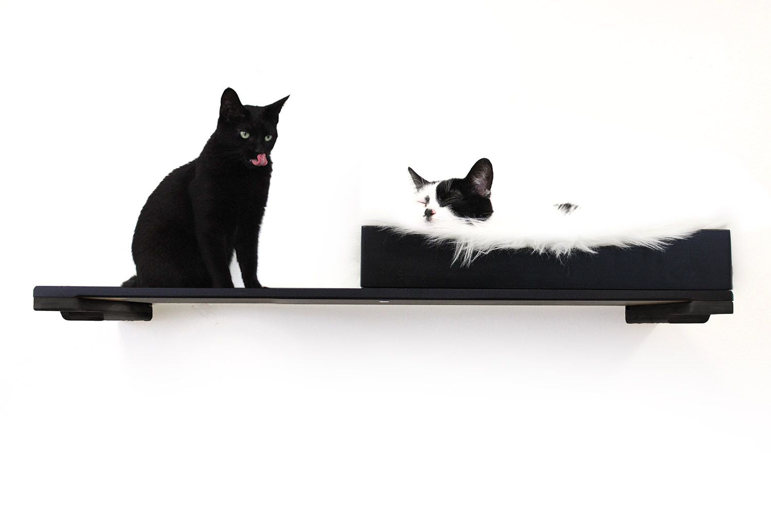 Cat on Nest Bed with Shelf