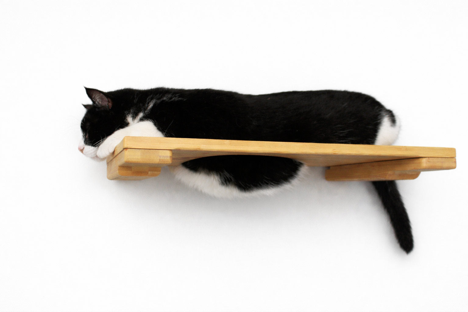 Cat lying on a wooden shelf against a white background