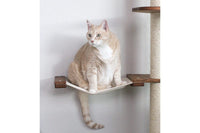Cat on The Expedition Cat Condo