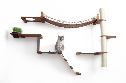 Christmas Present Ideas for Cats: Purrfect Gifts They'll Love
