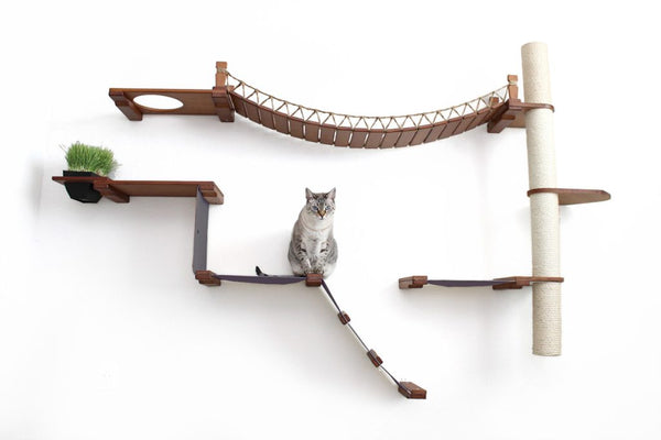The Expedition Cat Condo