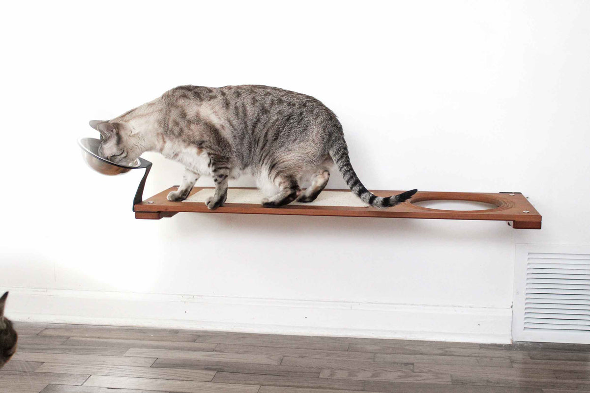 Elevated Cat Bowl (Tilted & Wide For Whisker Fatigue)